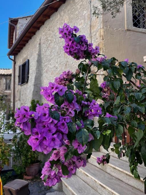 Adelaide Al Borgo. Castelnuovo Di Porto Exterior foto